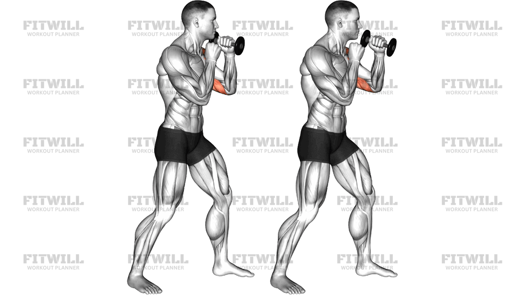 Boxing Jab (With Dumbbell)