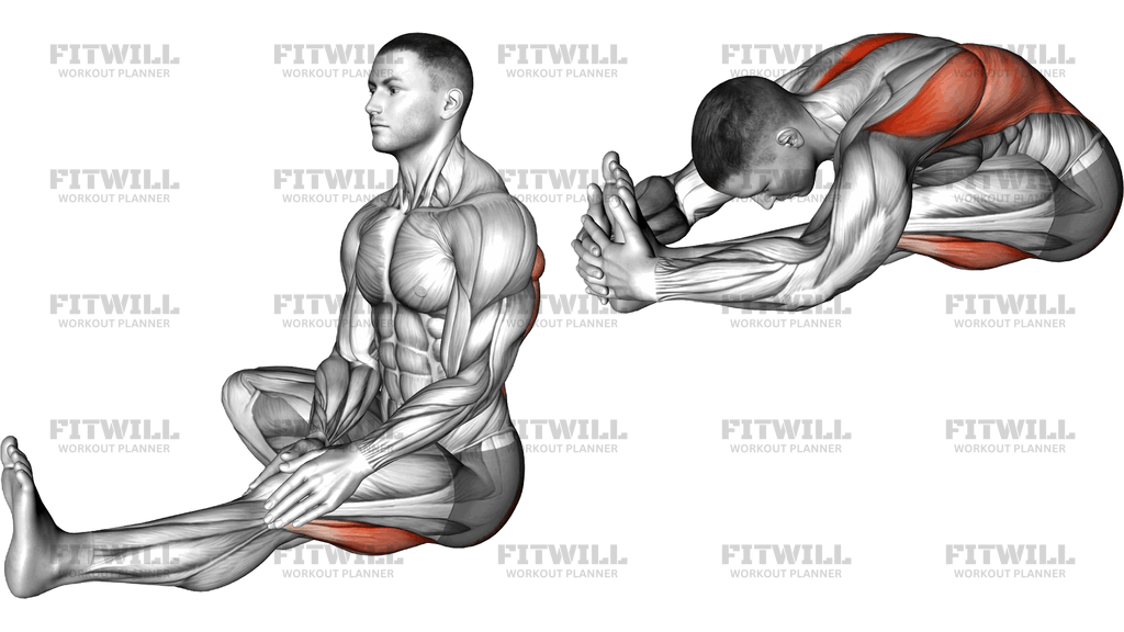 Sitting Head To Knee