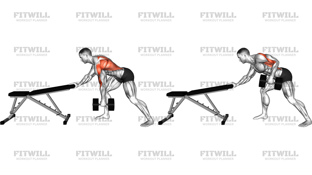 Dumbbell Kroc Row