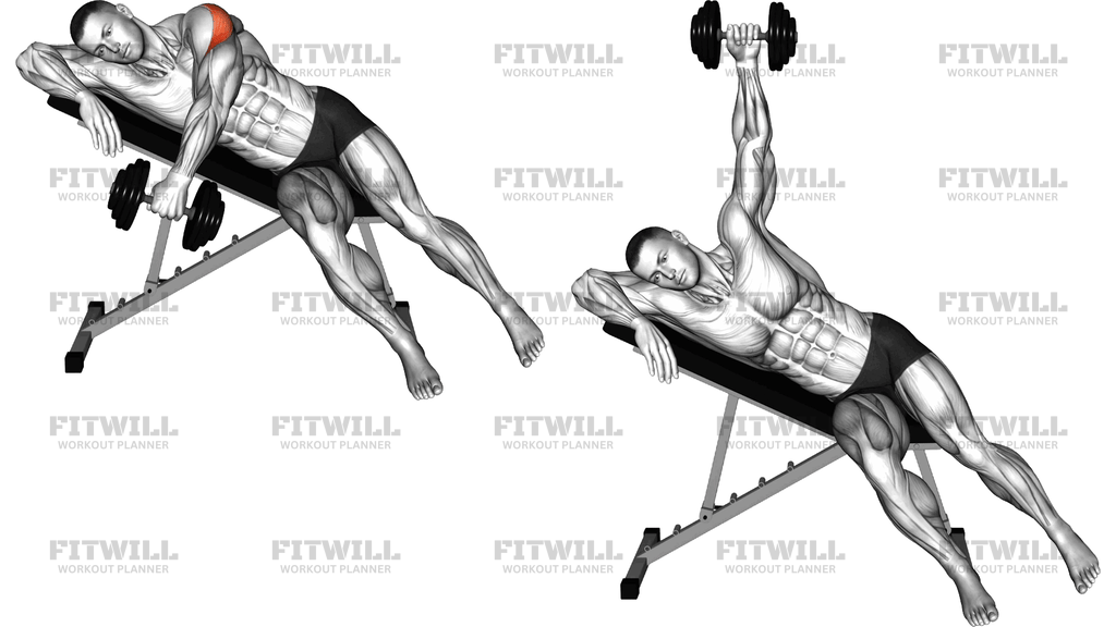 Dumbbell Powell Raise