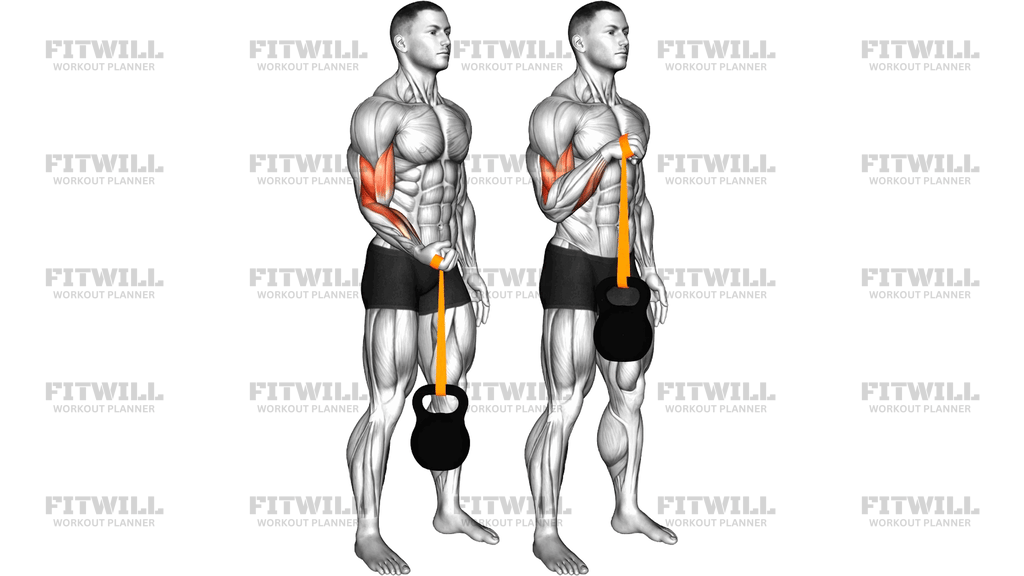Resistance Band Weighted Standing Pronation Twist