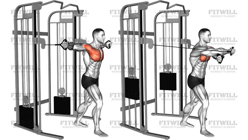 Cable Standing Fly Hugs