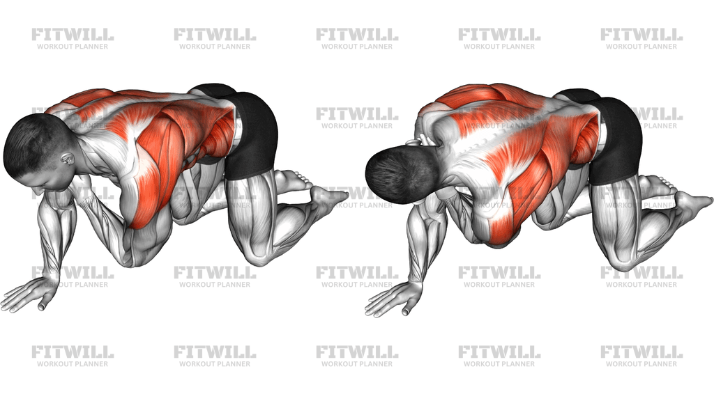 Kneeling Upper Back Rotation (Shoulder Touch)
