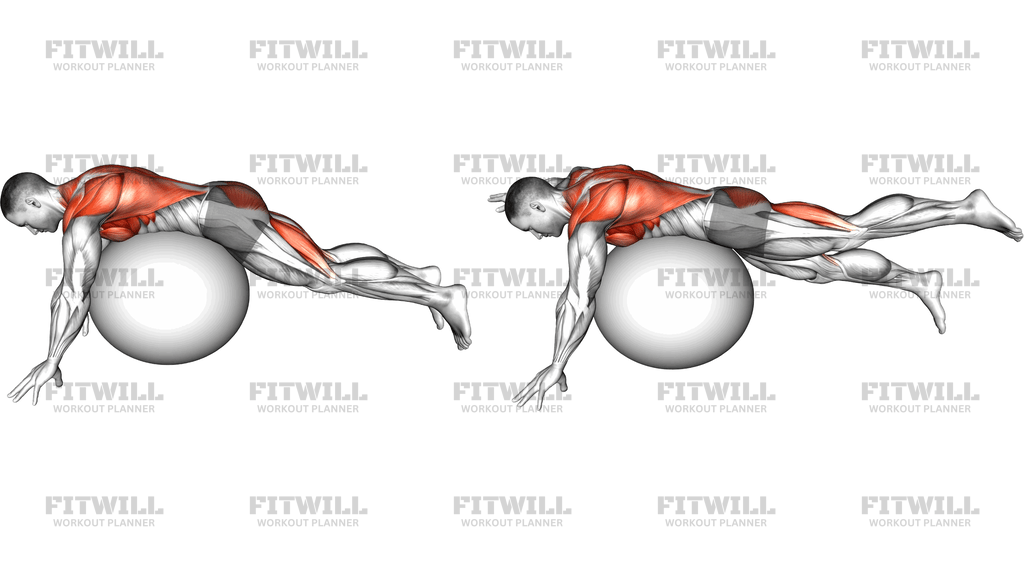 Swimmer Kick Over Exercise Ball