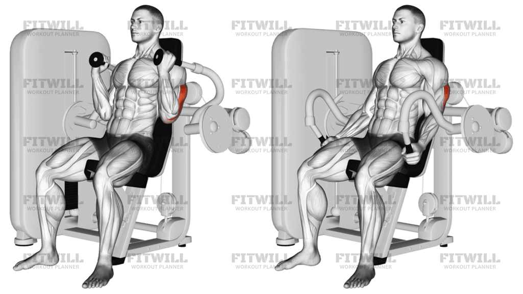Lever Triceps Extension