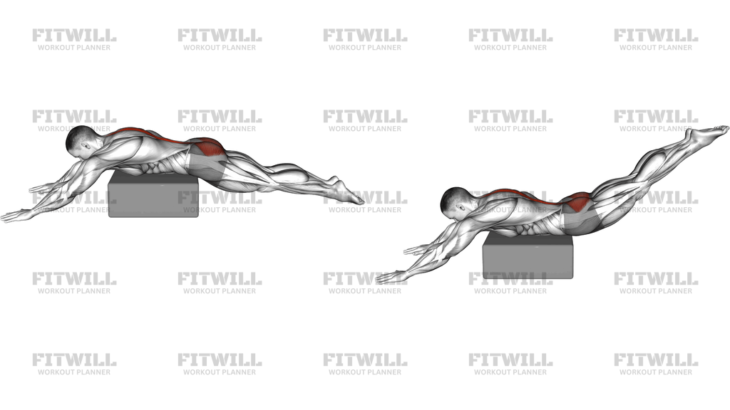 Reverse Hyperextension On Box