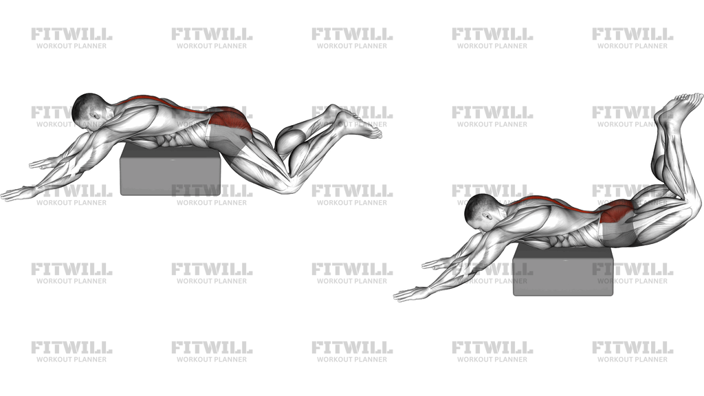 Reverse Frog Hyperextension On Box