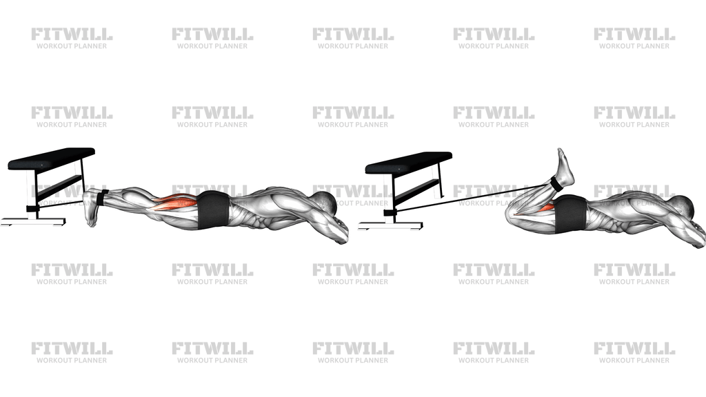 Band Lying Leg Curl