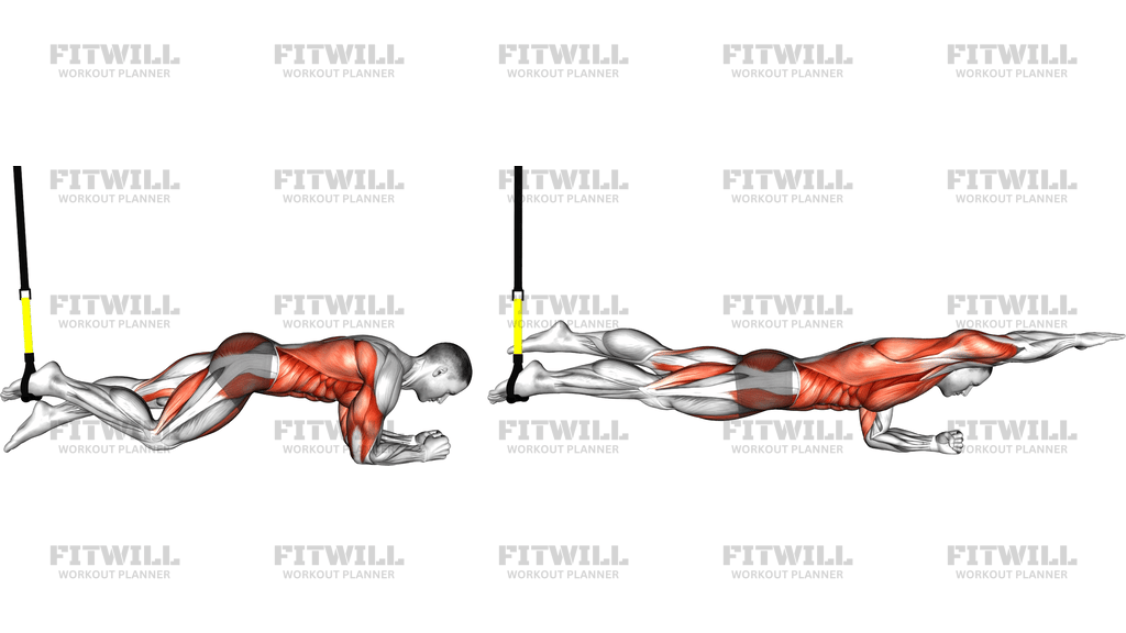 Suspender Single Leg Plank (Straight Arm)