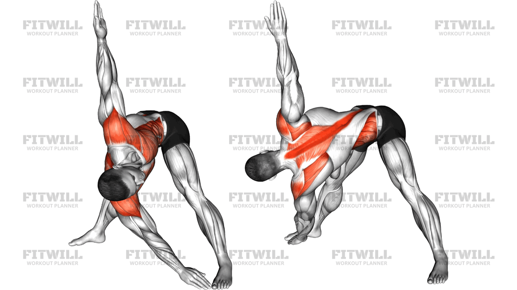 Standing Forward Bent Alternating Twist Toe Touch
