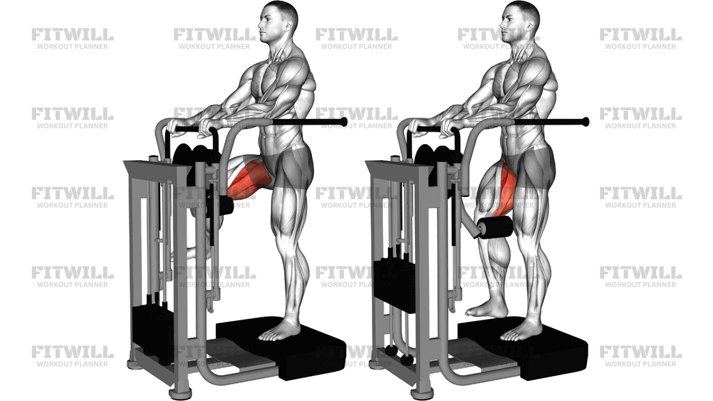 Lever Side Hip Adduction