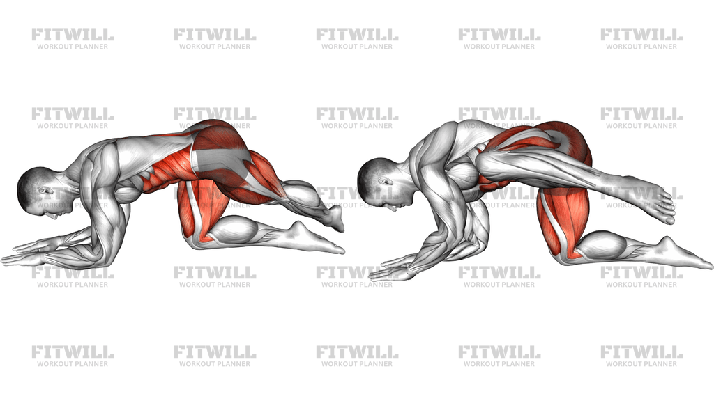 Kneeling Knee Tap To Crossed Reach
