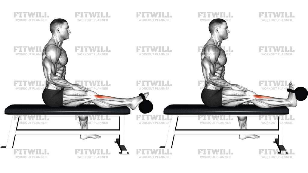 Kettlebell Sitting Tibialis Press