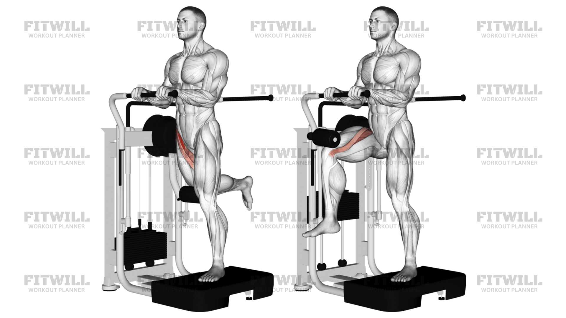 Standing leg raises muscles worked cheap