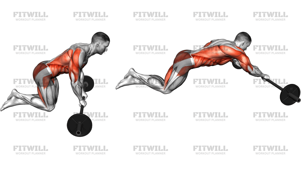 Barbell Side Rollout