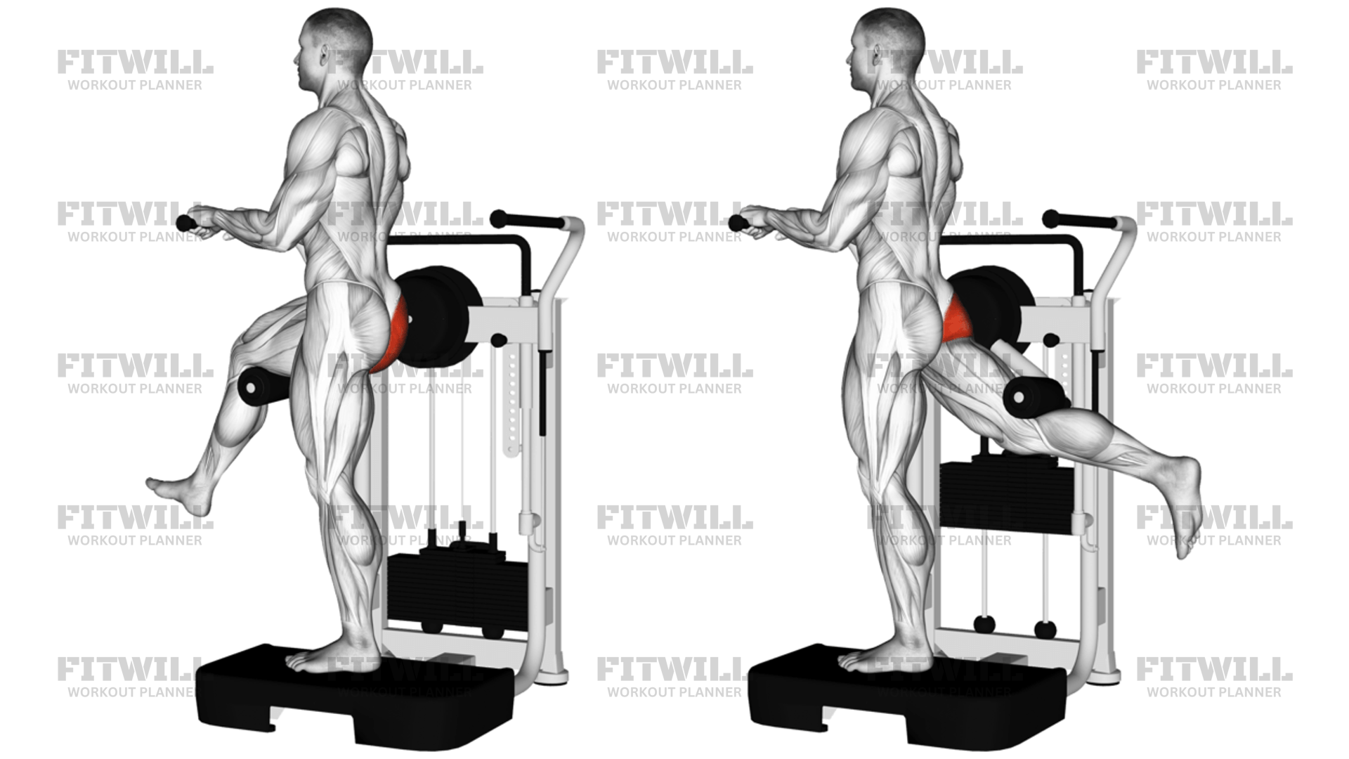 Lever Standing Rear Kick: Exercise Guide, Video, Techniques, Benefits ...