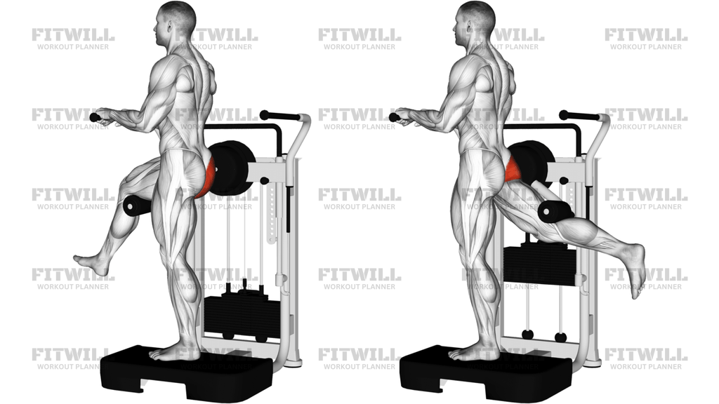 Lever Standing Rear Kick