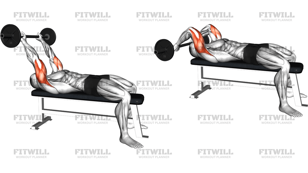 Barbell Skull Crusher (Version 2)