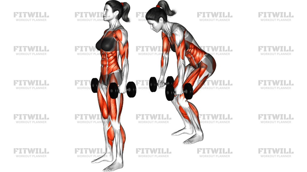 Hantlitega Burpee Press
