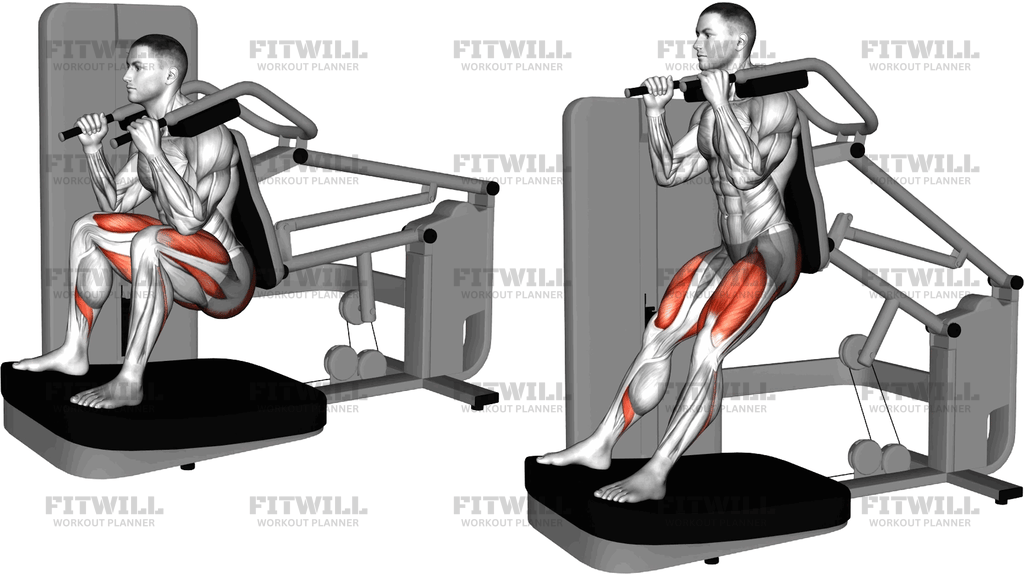 Lever Chair Squat