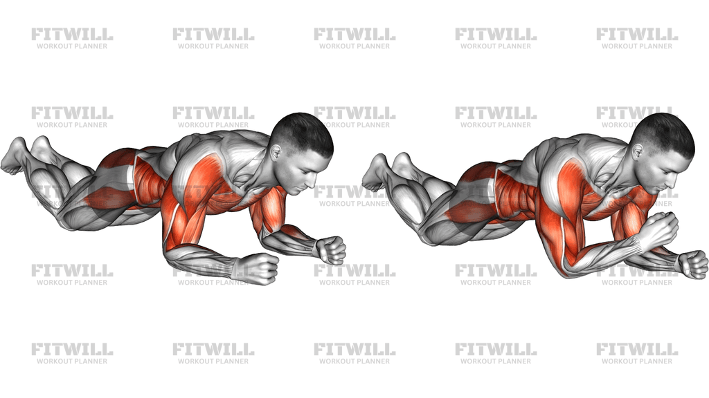 Kneeling Plank Shoulder Tap