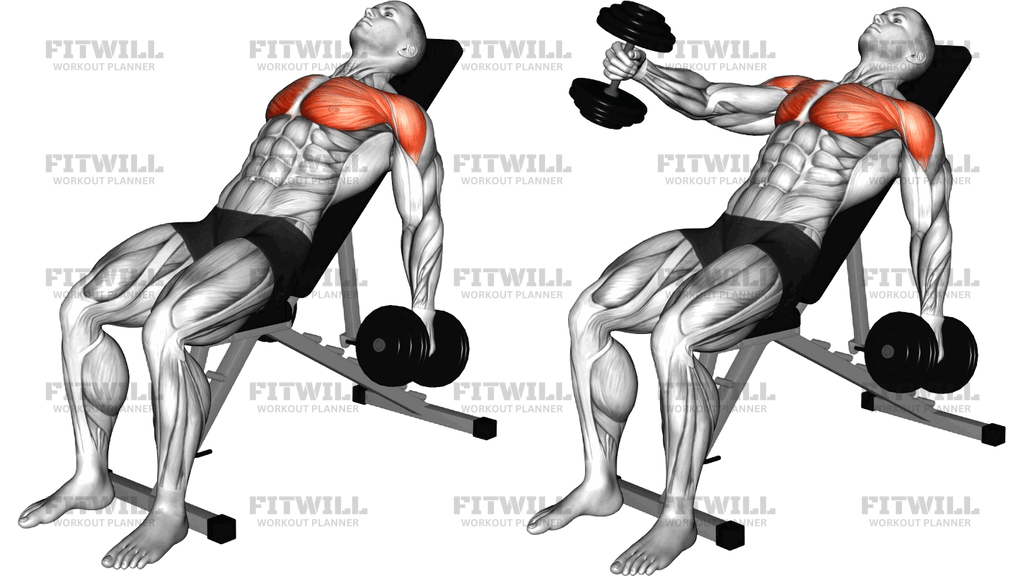 Dumbbell Incline Alternating Cross Raise
