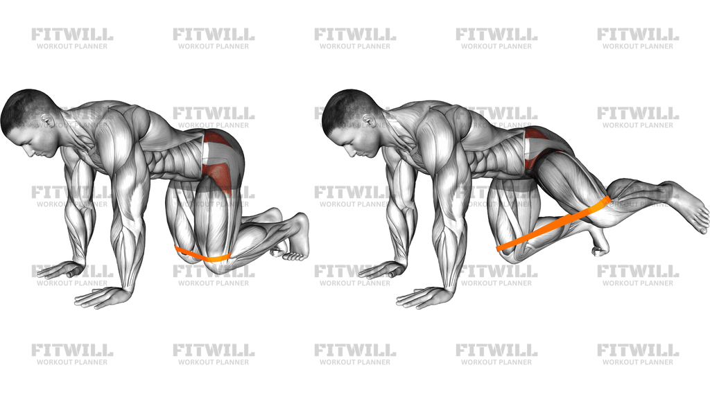 Resistance Band Bent Leg Side Kick (Kneeling)