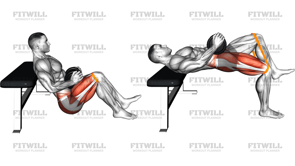 Dumbbell Banded Single Leg Hip Thrust