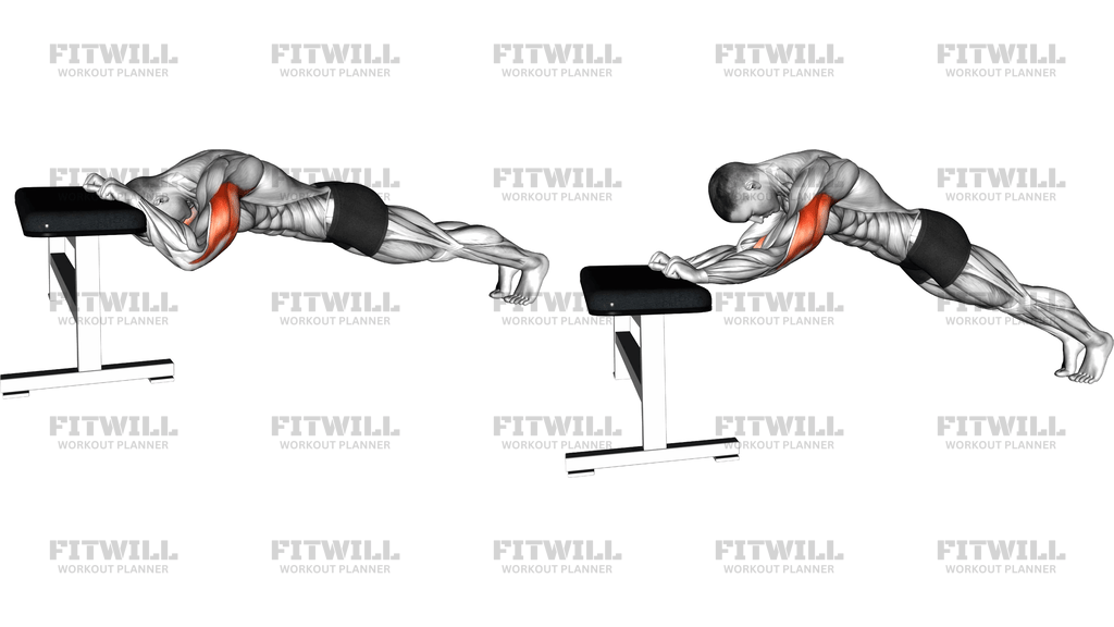 Triceps Press Bench Supported