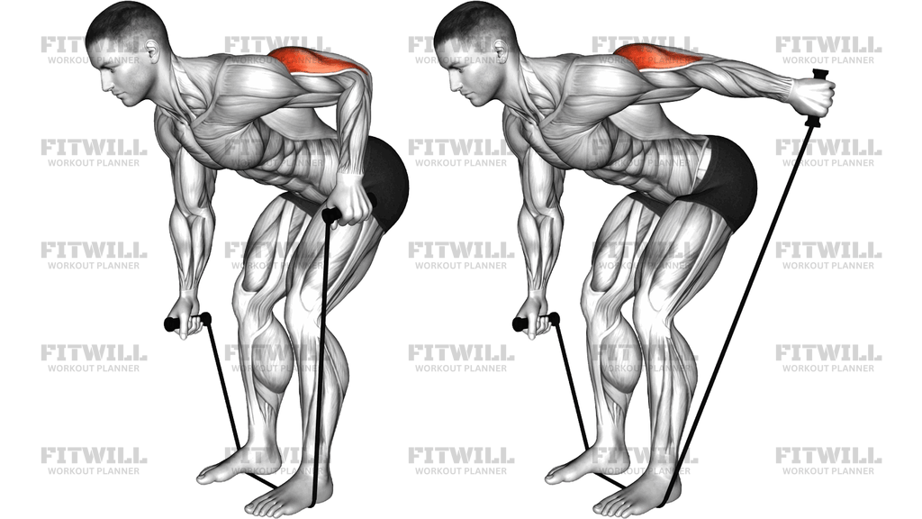Band Bent Over One Arm Neutral Grip Kickback