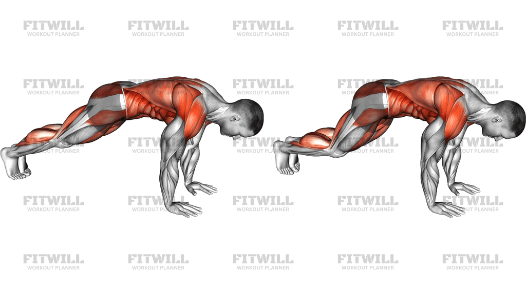 Plank 4 Point Hops
