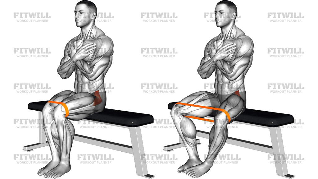 Resistance Band Seated Hip Abduction (Version 2)