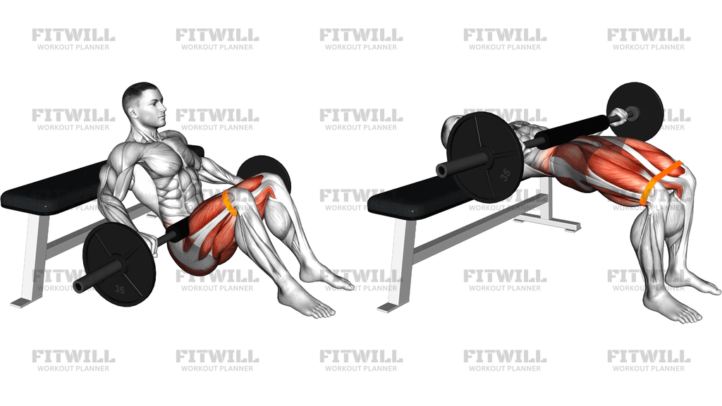 Barbell Banded Hip Thrust