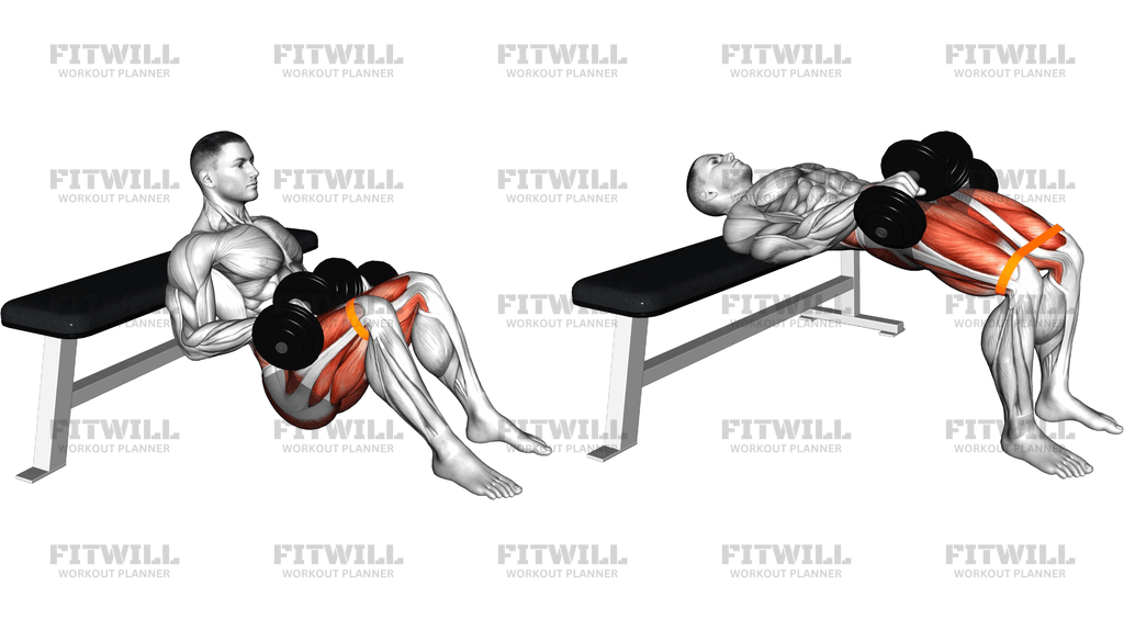 Dumbbell Banded Hip Thrust