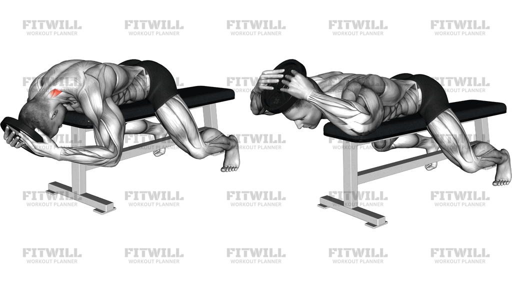 Weighted Lying Neck Extension