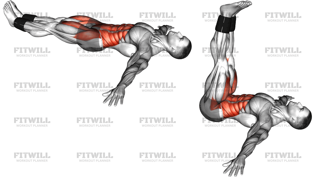 Weighted Lying Leg Raise