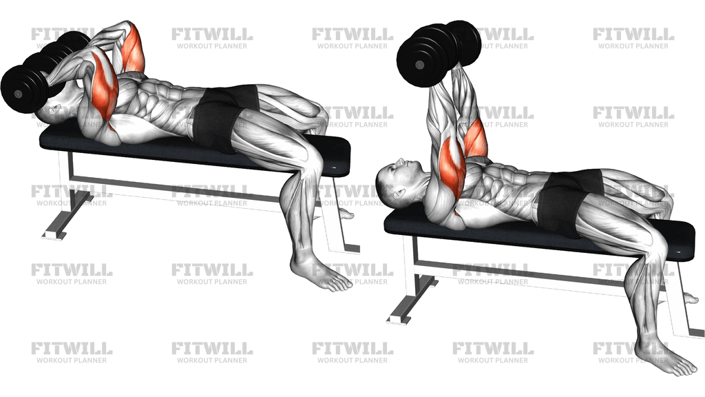 Dumbbell Lying Triceps Extension Skull Crusher