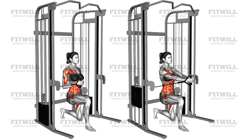Cable Half Kneeling Pallof Press