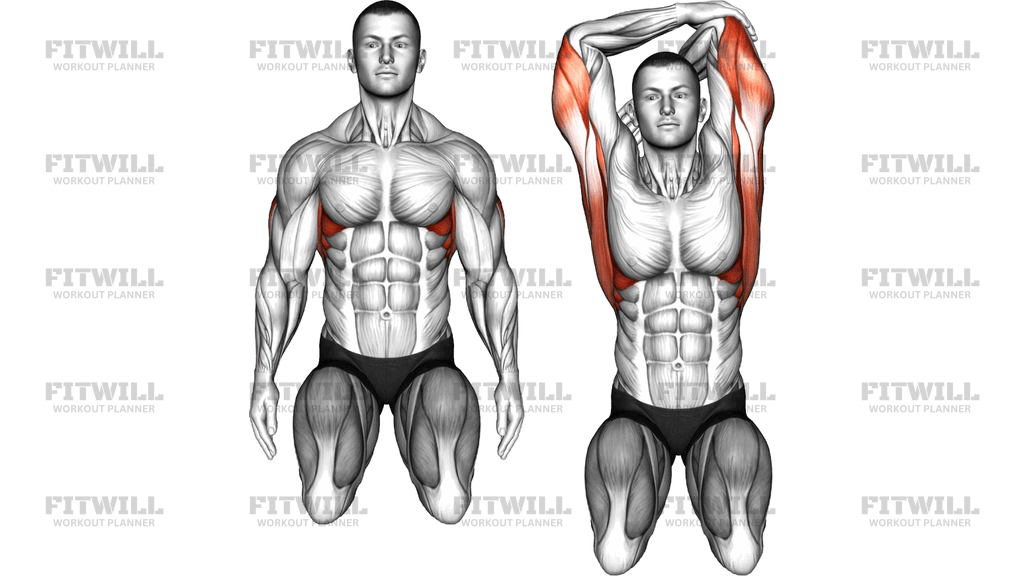 Sitting Overhead Lats Stretch