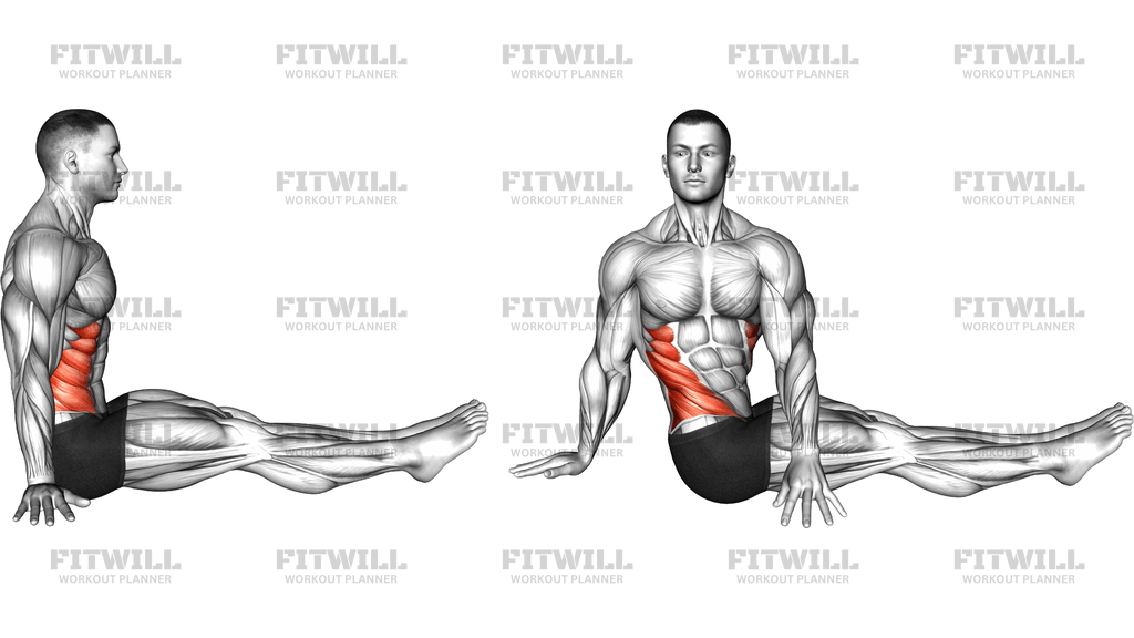 Sitting Lower Back Stretch