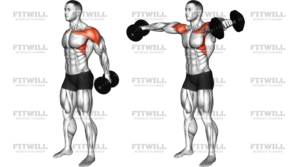Dumbbell Lateral Raise From Back