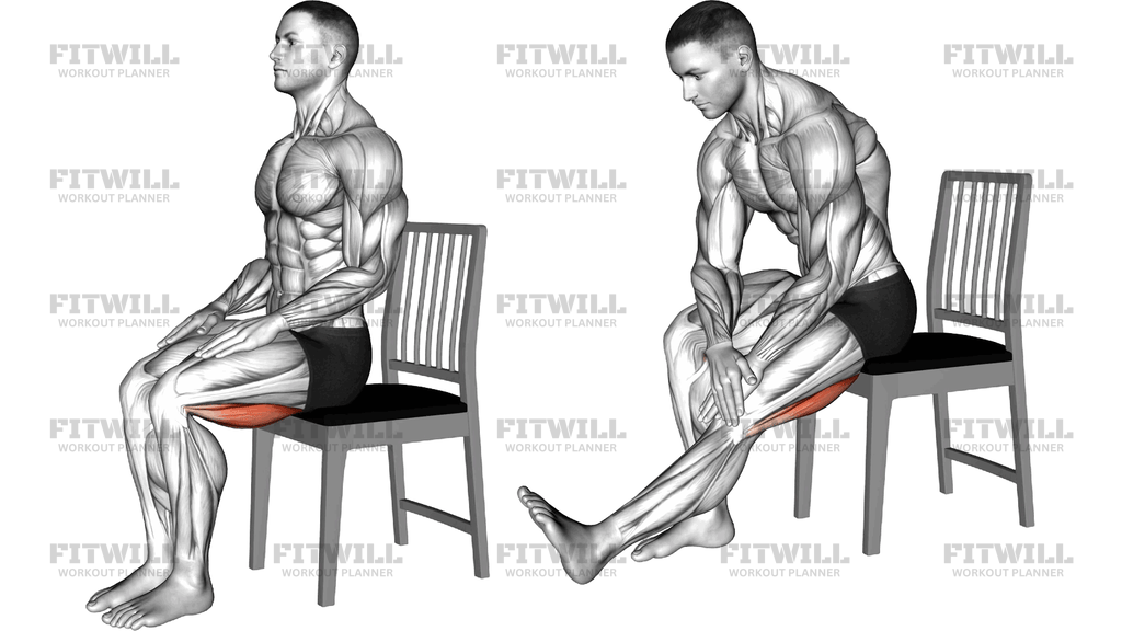 Seated Hamstring Stretch On A Chair
