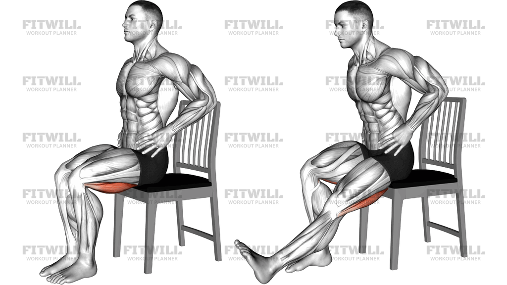 Seated Hamstring Stretch On A Chair (Version 2)