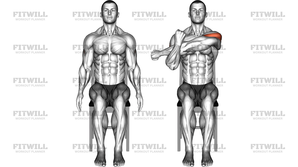 Seated Shoulder Stretch On A Chair