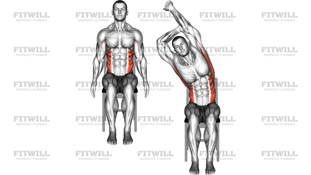 Seated Lats Stretch On A Chair
