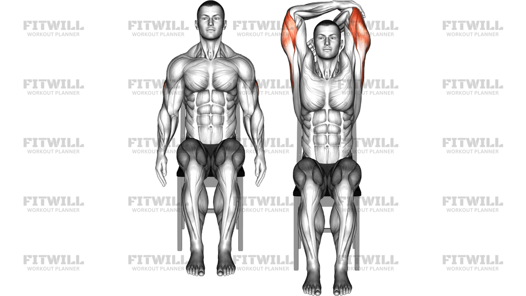 Seated Triceps Stretch On A Chair