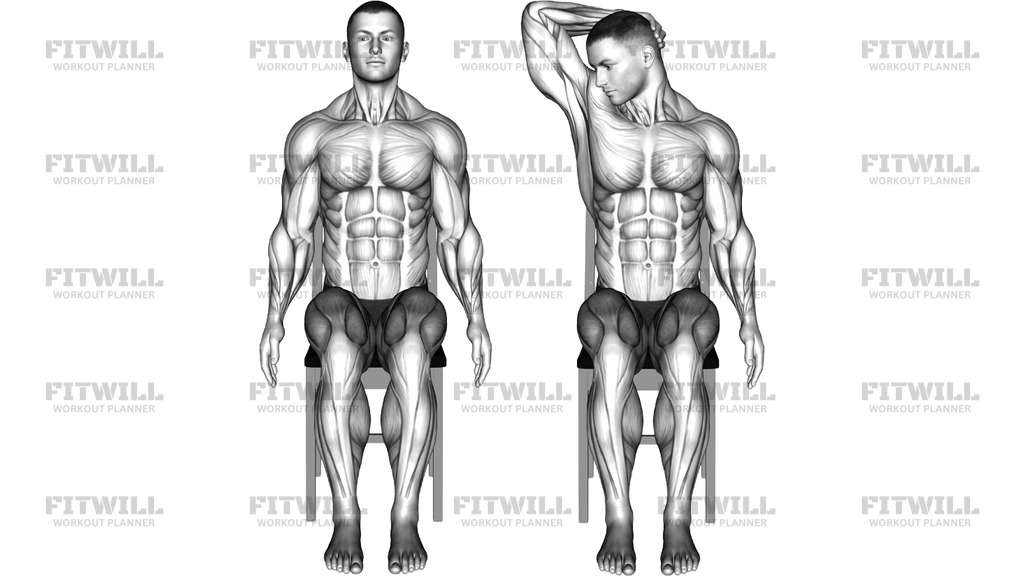 Seated 45 Degrees Neck Stretch On A Chair