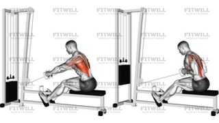 Cable Elevated Row