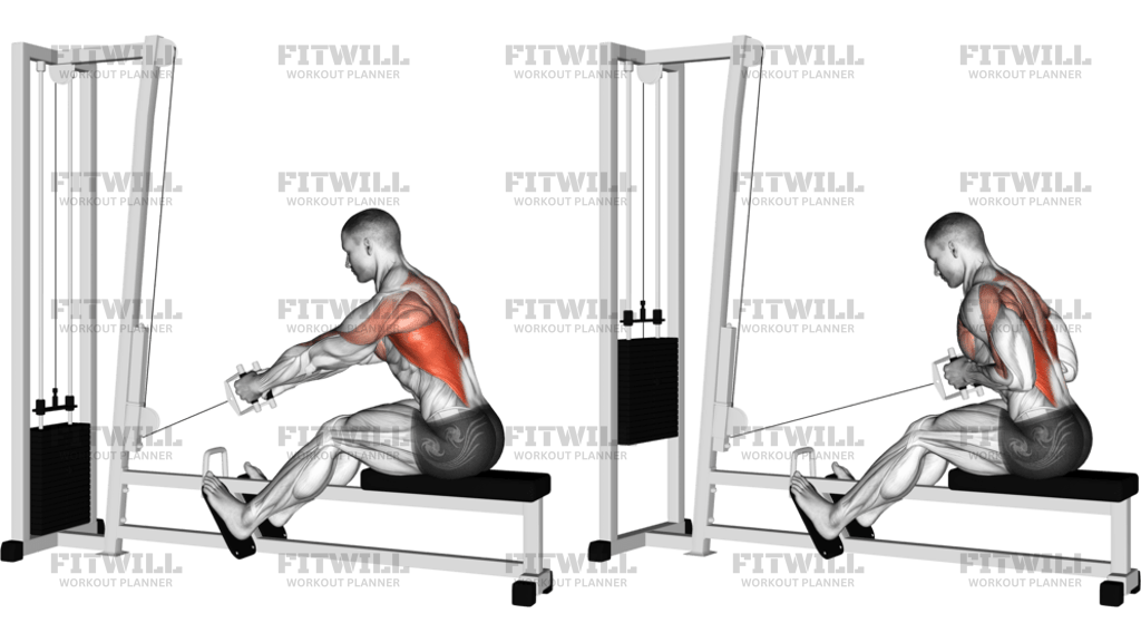 Cable Elevated Row