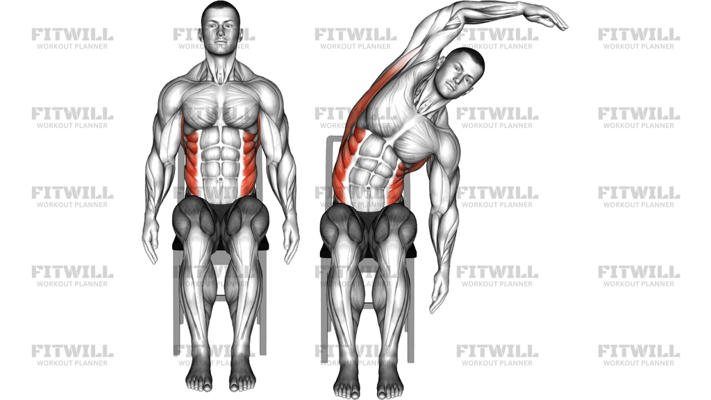 Seated Side Bend Stretch On A Chair